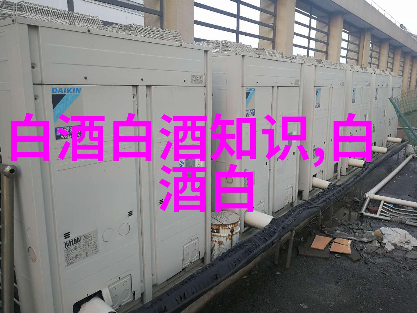 百元内的热门白酒哪款才是性价比天花板