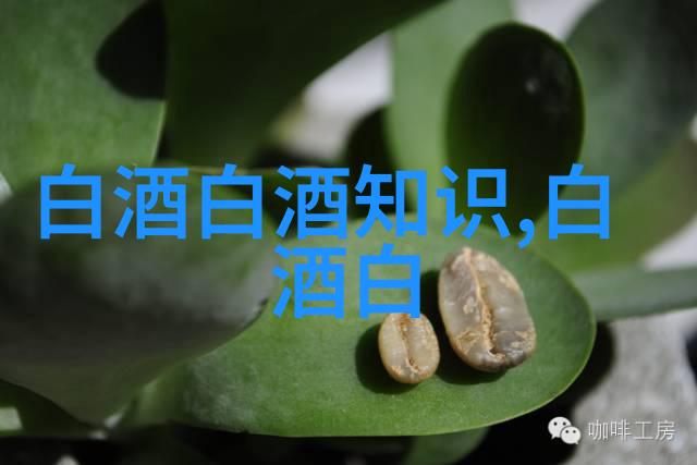 收藏白酒选择合适的材质是关键_收藏白酒用什么材料